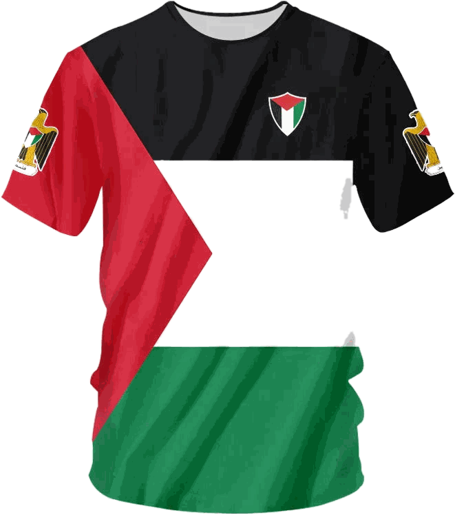 Palestine Flag Football T-Shirt